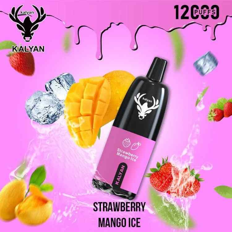KALYAN Pro 12000 Puffs Disposable Vape in Dubai, UAE