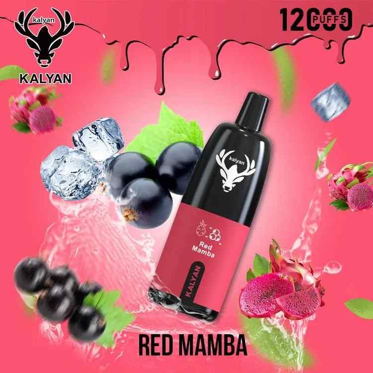 KALYAN Pro 12000 Puffs Disposable Vape in Dubai, UAE