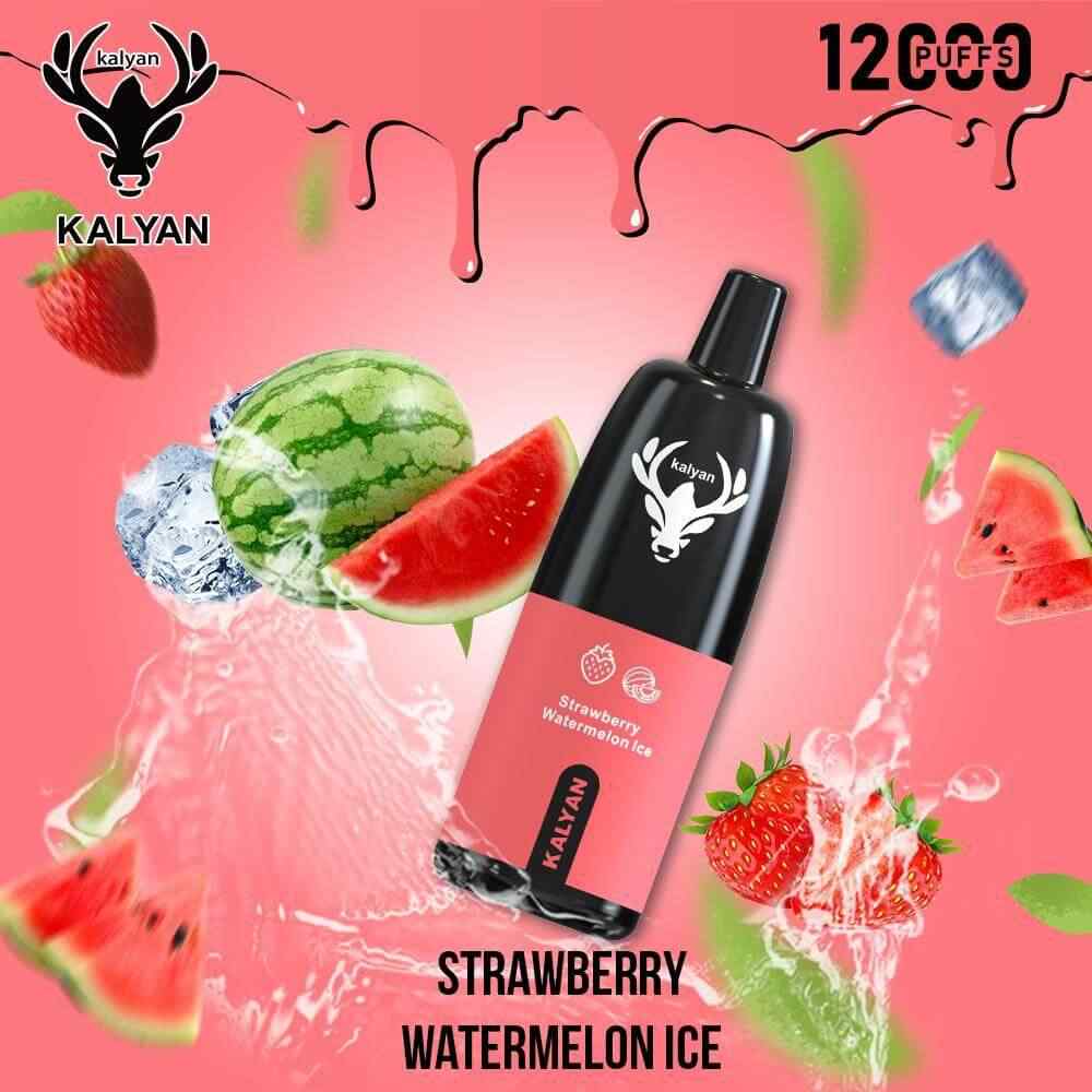 KALYAN Pro 12000 Puffs Disposable Vape in Dubai, UAE