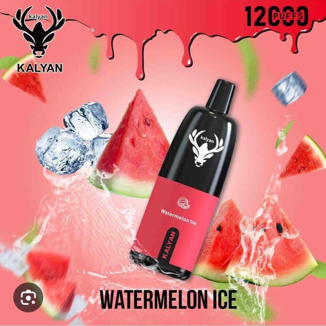 KALYAN Pro 12000 Puffs Disposable Vape in Dubai, UAE